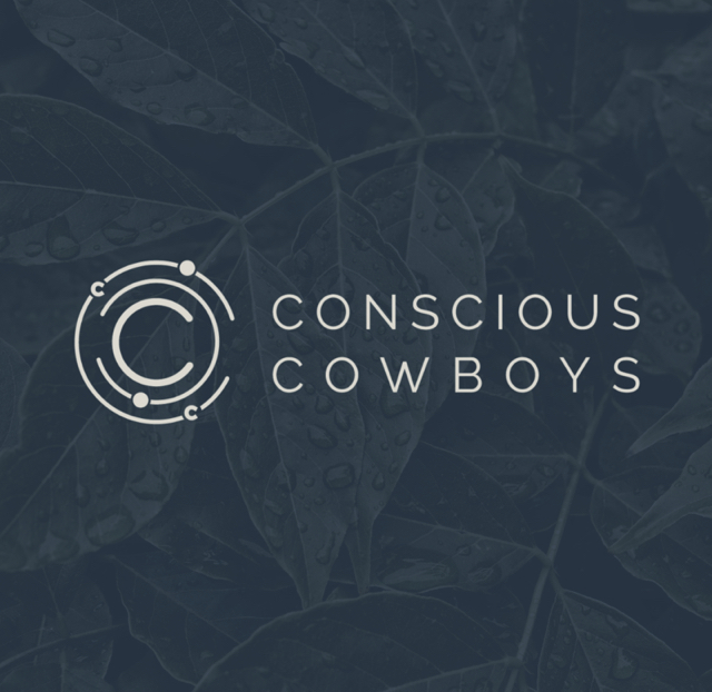 https://ivonnevandis.nl/wp-content/uploads/2019/05/consiousness.jpg