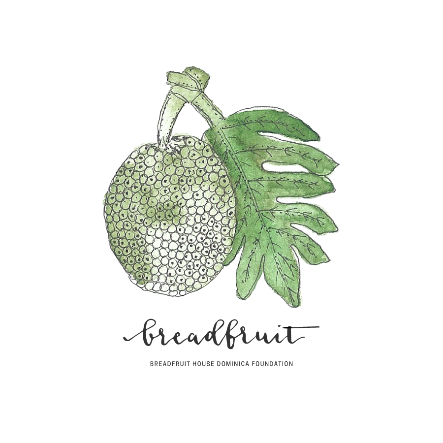 https://ivonnevandis.nl/wp-content/uploads/2019/09/Logo-BreadFruit-RGB.png