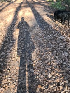 schaduwwerk ivonne van dis Intuitieve Business Mentor