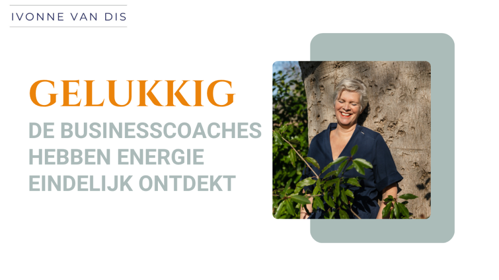 oh gelukkig, de businesscoaches hebben energie eindelijk ontdekt