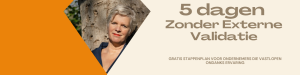 5 dagen stappenplan zonder externe validatie