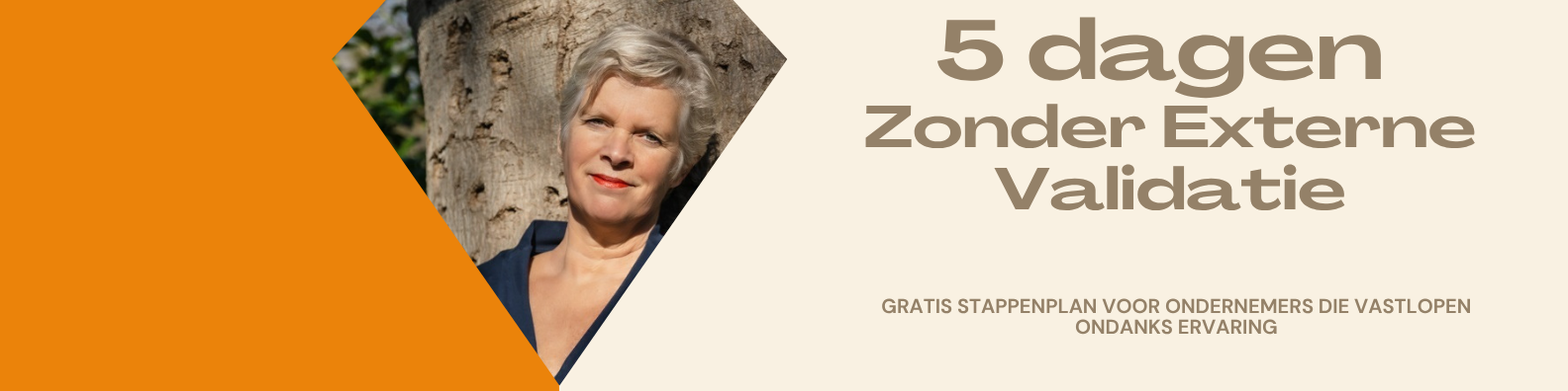 5 dagen stappenplan zonder externe validatie